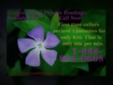 Legitimate Oregon Phone Psychic Medium Reading