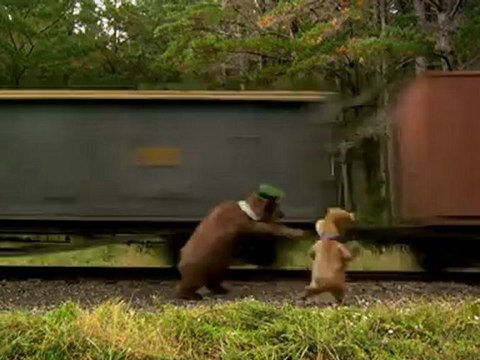 Run Boo Boo, Run: A Movie Clip from 'Yogi Bear'