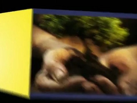 Tree Service - (480) 428-8215 - A Arizona Landscape Maintenance