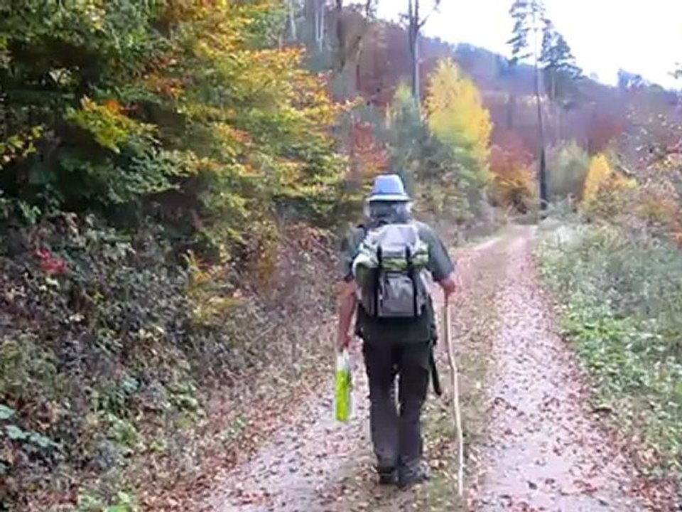 Kurs A2-C2 Textproduktion zum Video der Alte