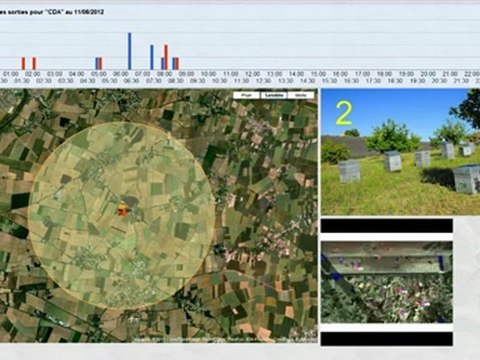 Biosurveillance par l'abeille, des ruches pour surveiller l'environnement