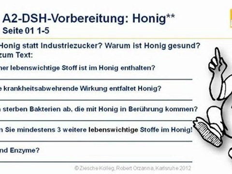 A2-DSH-Vorbereitung Fragen 1-5 Honig statt Industrie-Zucker