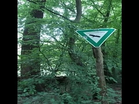 A2-DSH-Vorbereitung Textproduktion Naturschutz