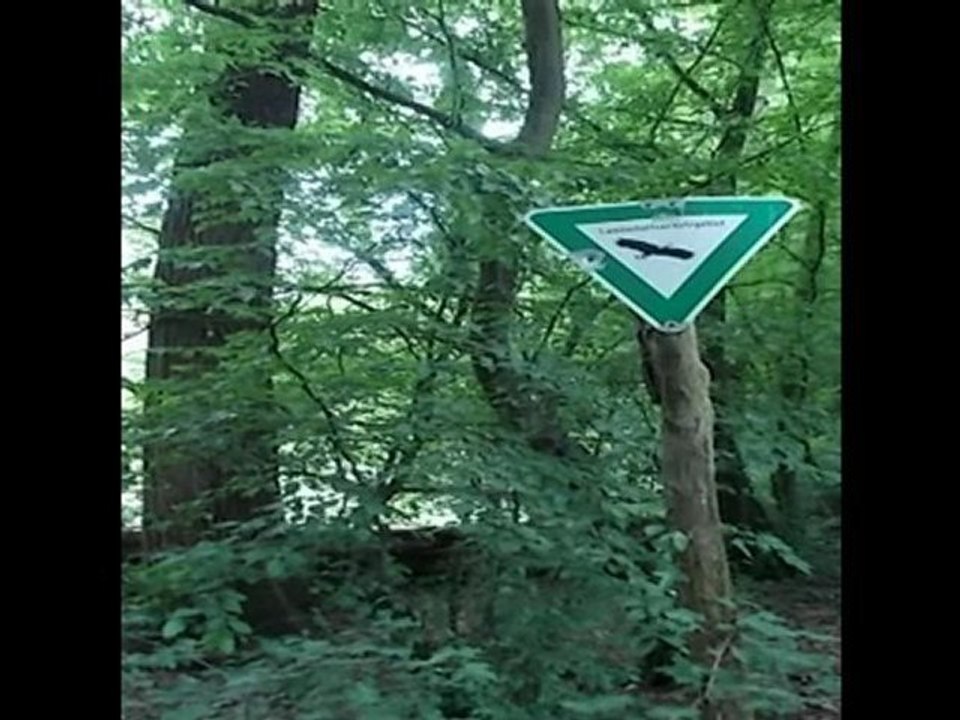 A2-DSH-Vorbereitung Textproduktion Naturschutz