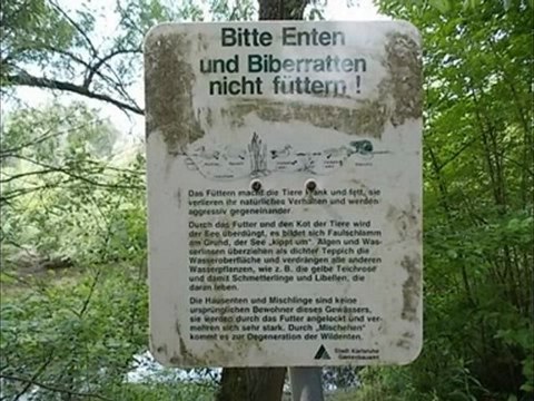 A2-B1-DSH-Vorbereitung Kap.16 Leseverstehen Bitte nicht füttern