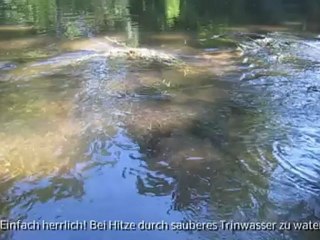 Video herunterladen: A2-B1-DSH-Vorbereitung Thema Wasser