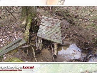 Berwyn Basement Flooding Clean Up