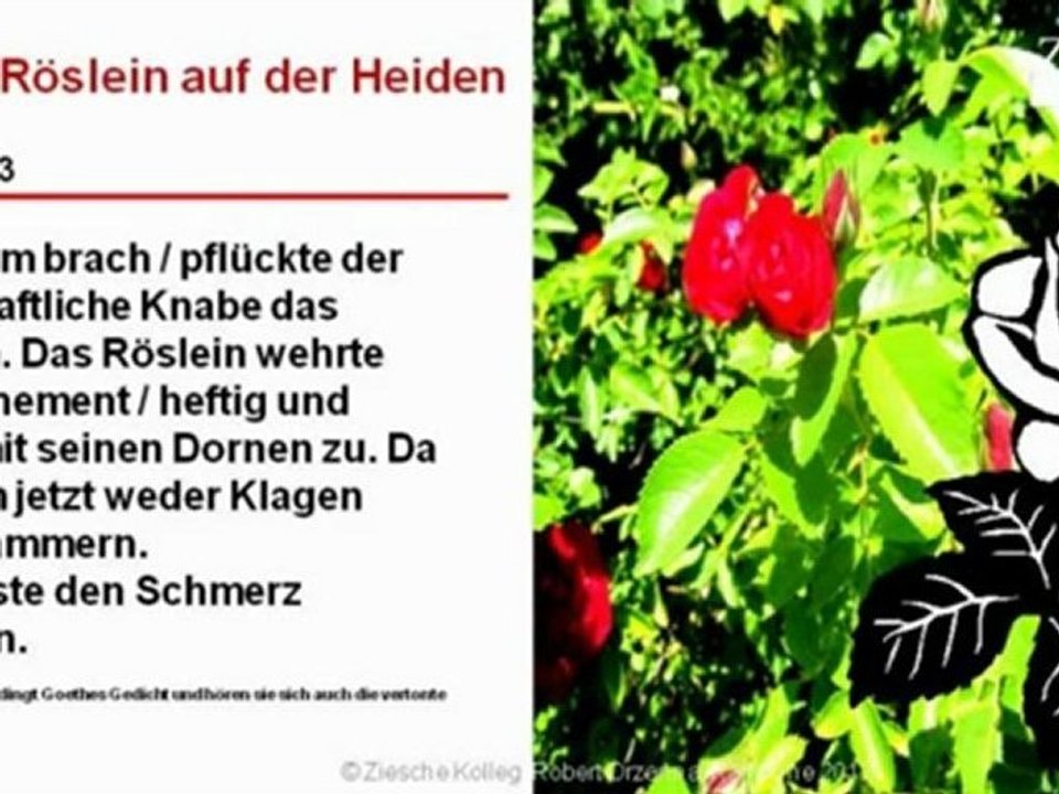 A2-B1 Roeslein auf der Heiden modern S.03