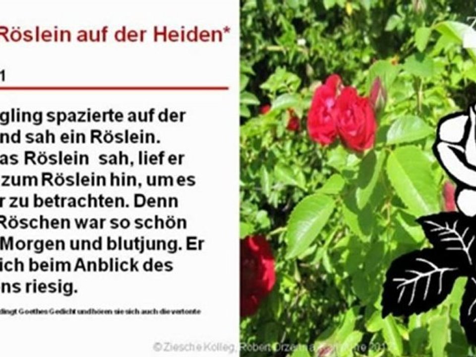 A2-B1 Röslein auf der Heiden modern S.01