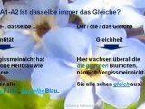 A1-A2 Grammatik Gleichmacherei gleich und - selb ein kleiner