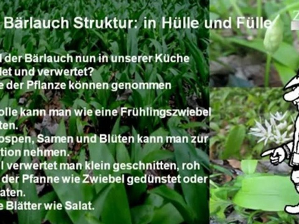 A1-A2 Lese- und Hörverstehen zum Bärlauch S.03 in Hülle und