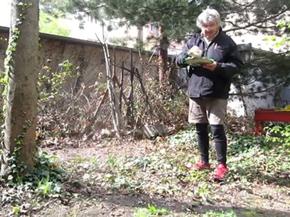 A1-A2 Hörverstehen Osterteller für Großneffen