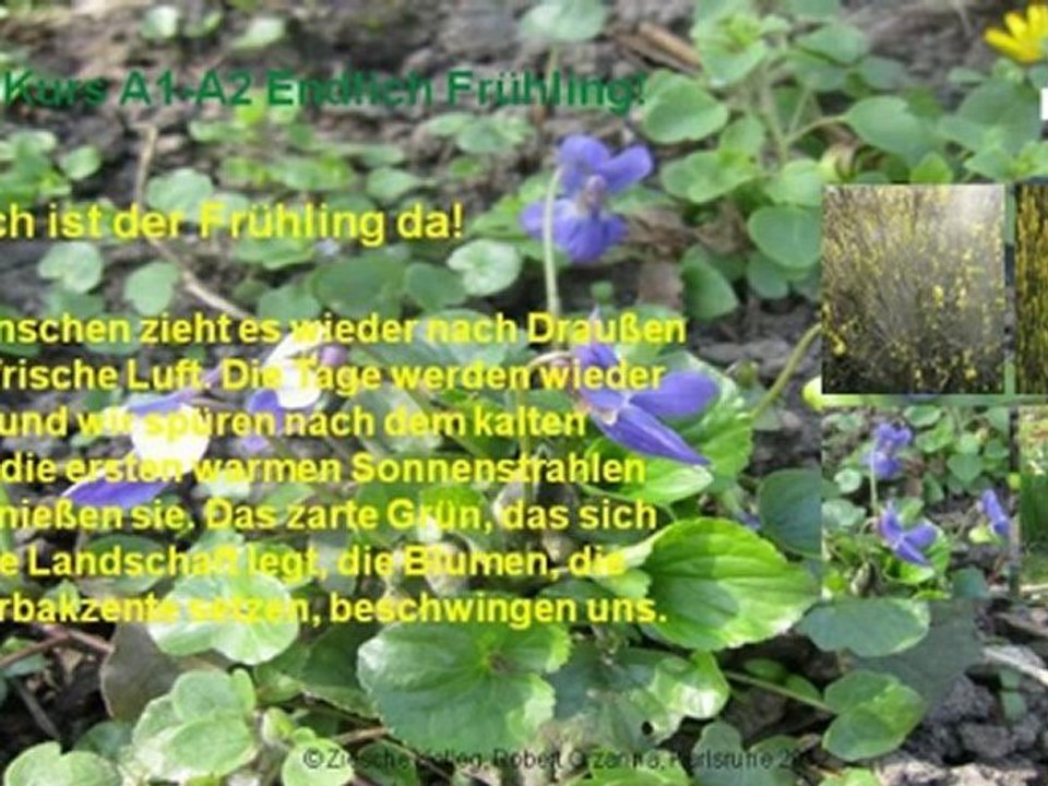 A1-A2 Leseverstehen Endlich Frühling