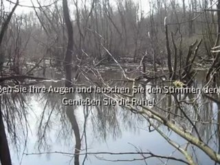 A2-B2 Hören und Lesen Landschaftsschutzgebiet