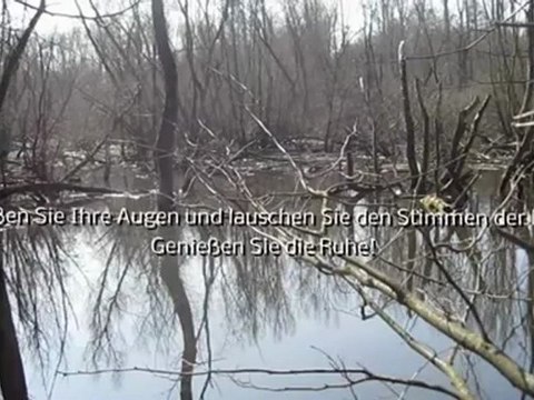 A2-B2 Hören und Lesen Landschaftsschutzgebiet