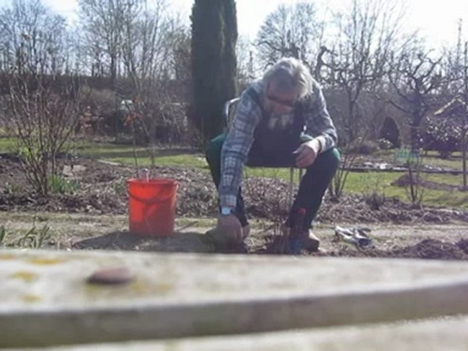 A2-b2 textproduktion thema: beim jäten