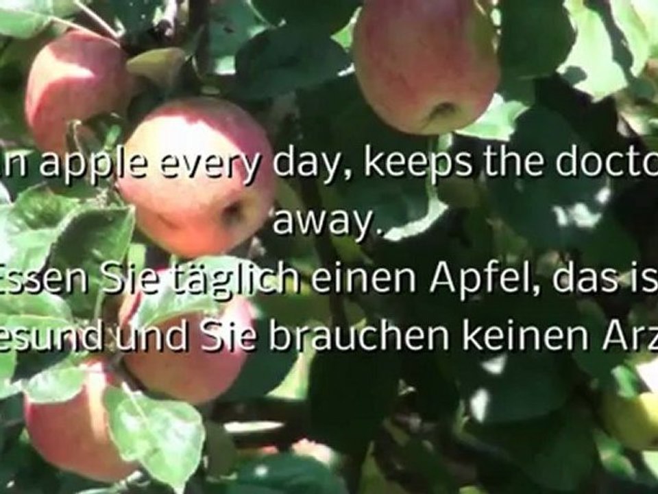 A1-A2 Leseverstehen Jeden Tag ein Apfel ...