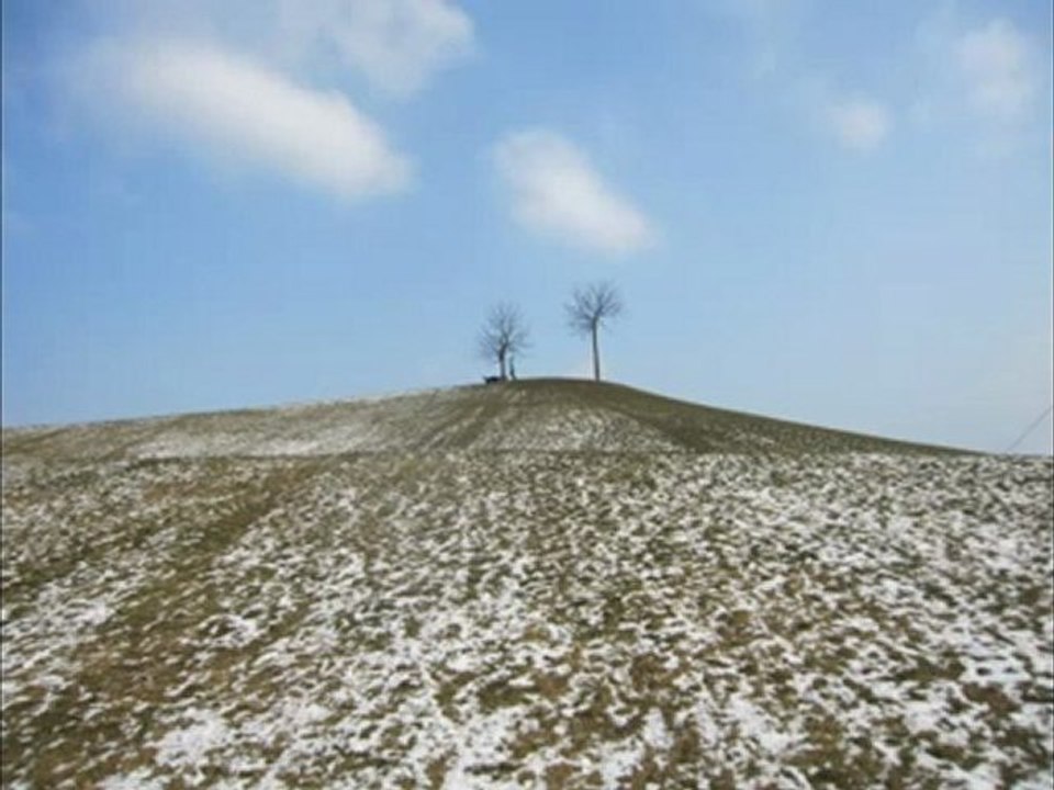 A1-C2 Textproduktion Bildbeschreibung