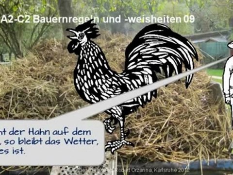 Kurs A2-C2 oft gültige Bauernregeln und Weisheiten 09