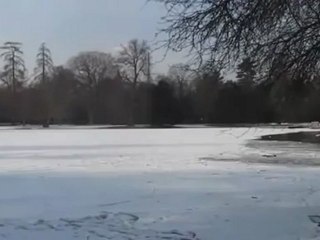 A1-DSH-Vorbereitung Textproduktion Der See im Karlsruher Sch