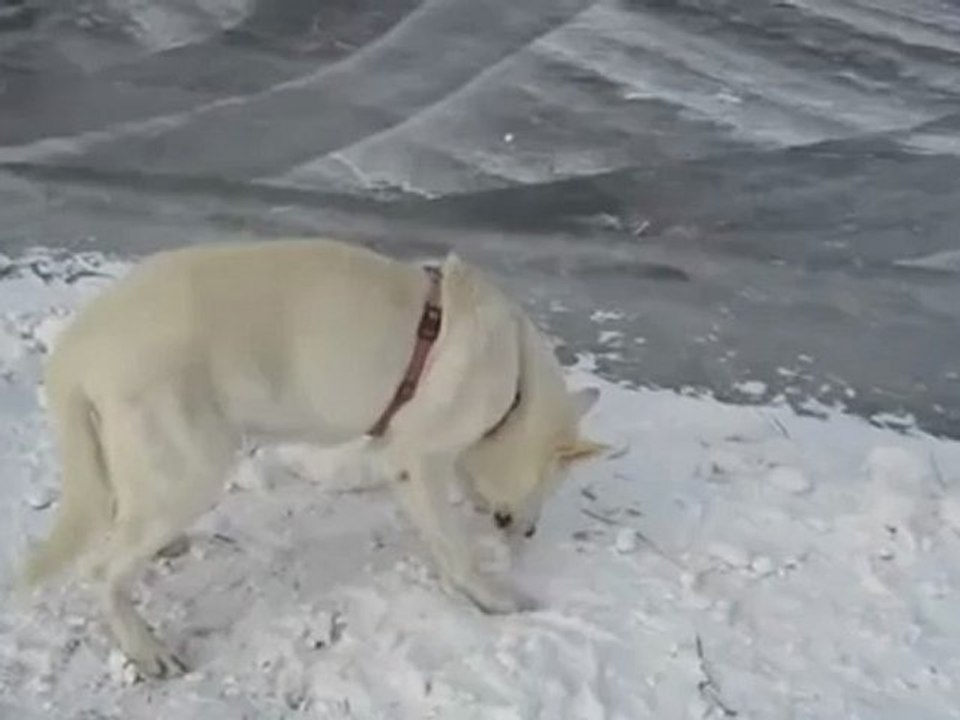 A1-A2 Hörverstehen Eisfläche präpariert