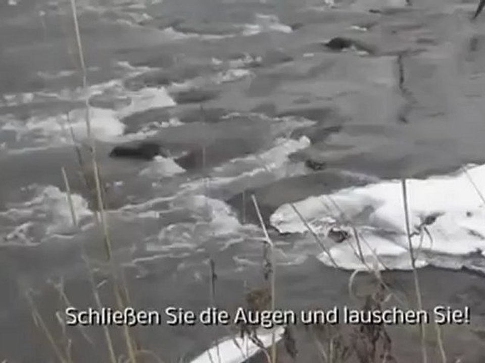 A1-A2 Hörverstehen Geräuschen der Natur lauschen