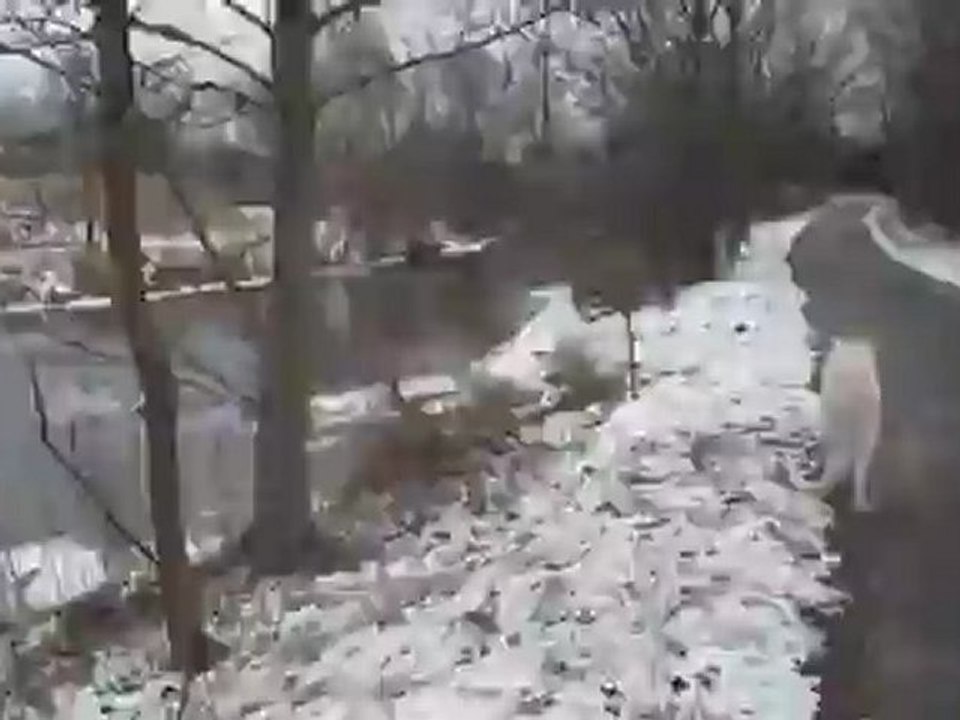 A1-B2 Hörtext alter Ben