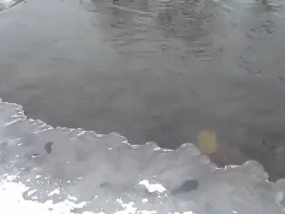 A2-C2 Textproduktion Schönes Spiel unter dem Eis