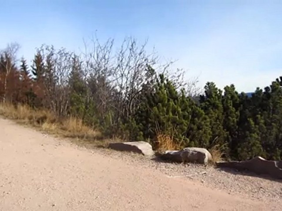 Westweg Blick auf den nördlichen Schwarzwald Hörtext