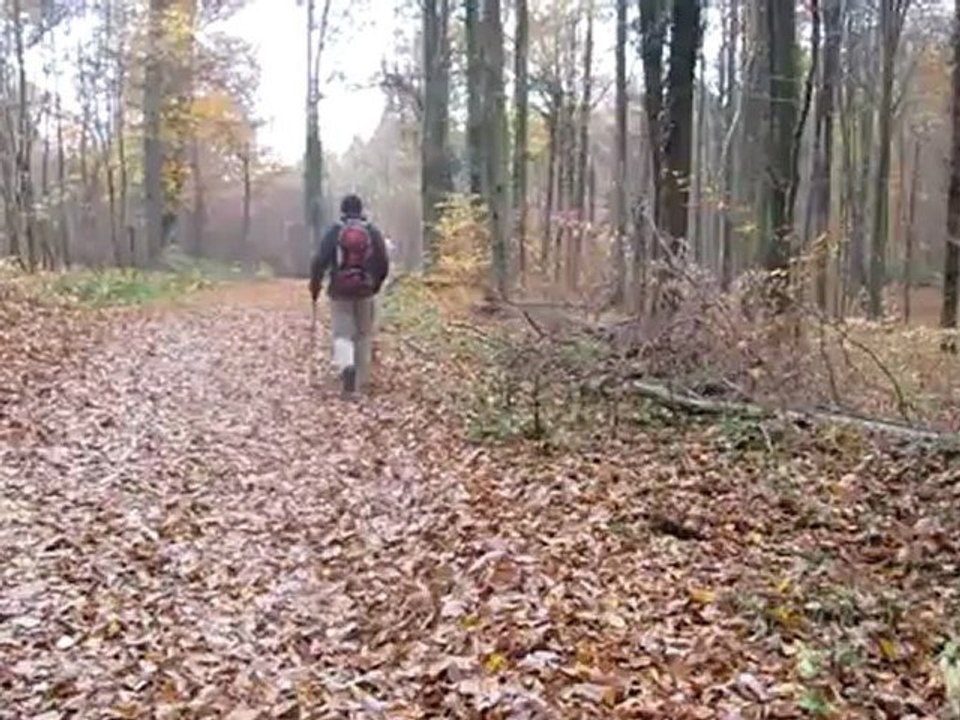 A1-B2 Textproduktion zum Thema Herbst