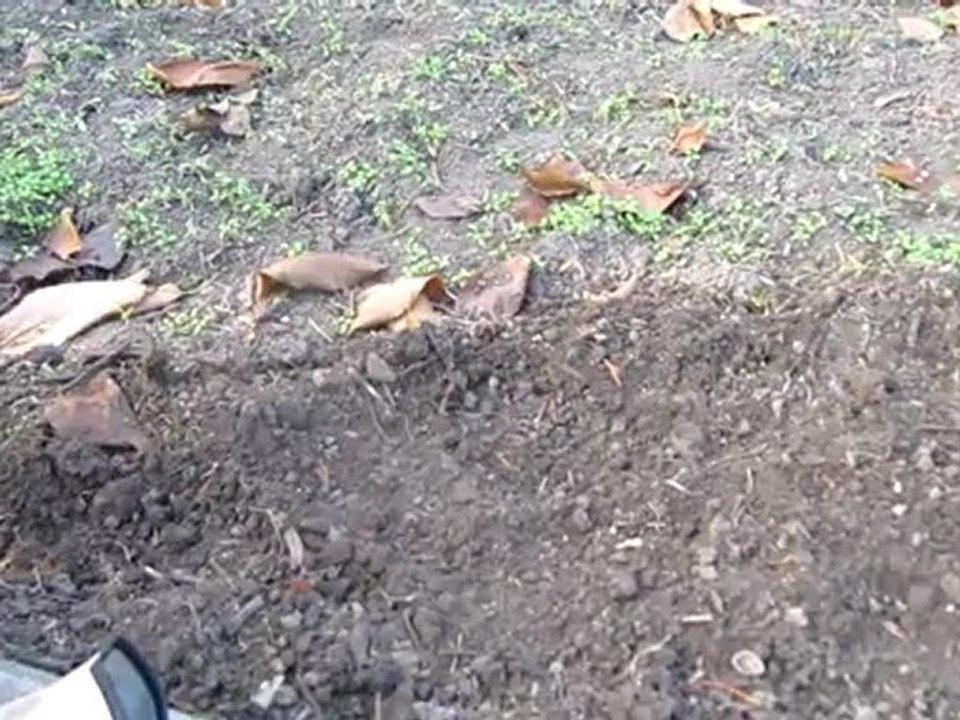 Deutsch lernen learn german unkraut jäten bauernregel