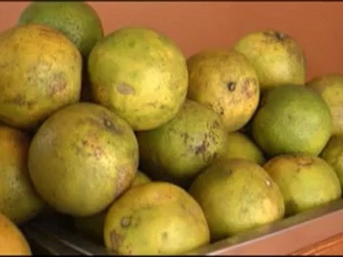 Consejos para una buena alimentación y combatir el sobrepeso