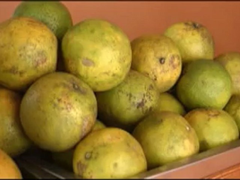 Consejos para una buena alimentación y combatir el sobrepeso