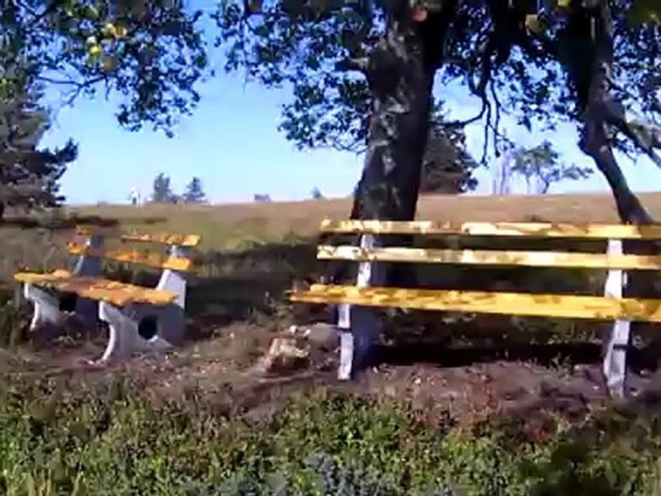 A1 2 Bänke 2 Menschen mit Problemen Hörtext