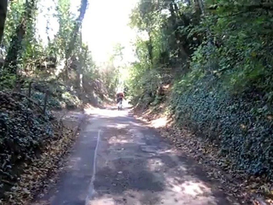 C1 Hörtext: Hohle Gasse Zitat 1