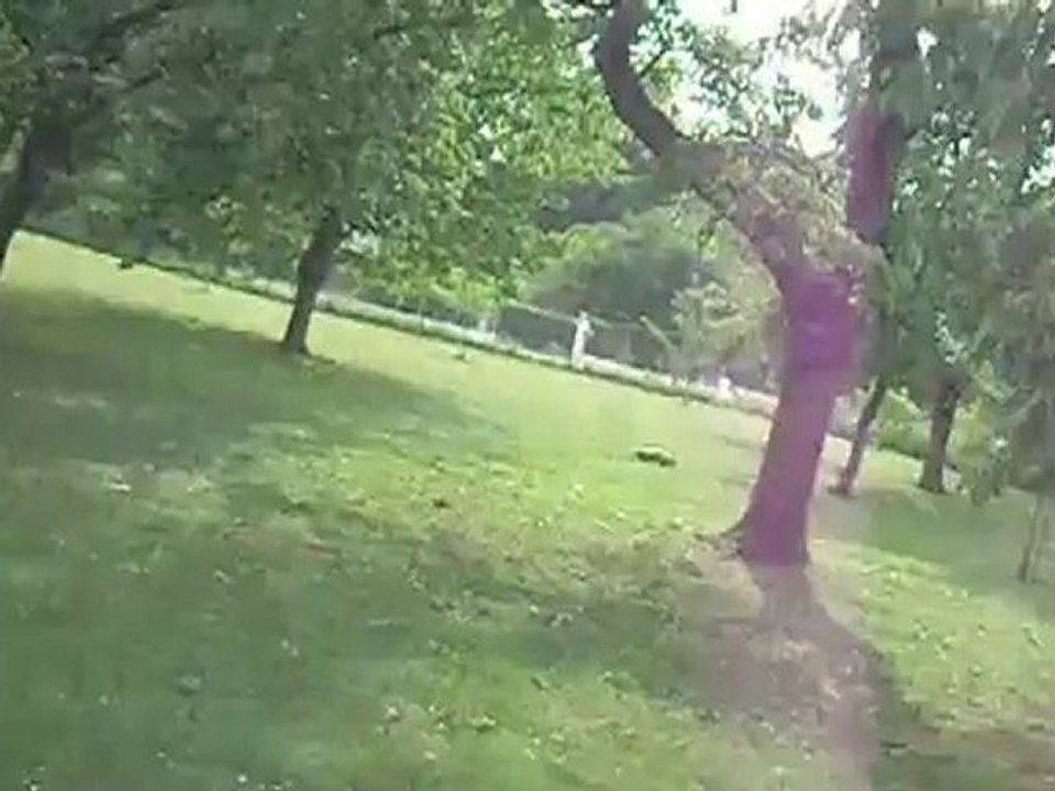 Voiture Thermique - HPI Savage X4.6 à donf !