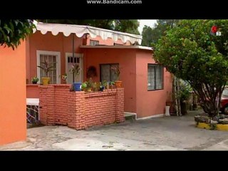 La Historia De Willy y Lucia 39