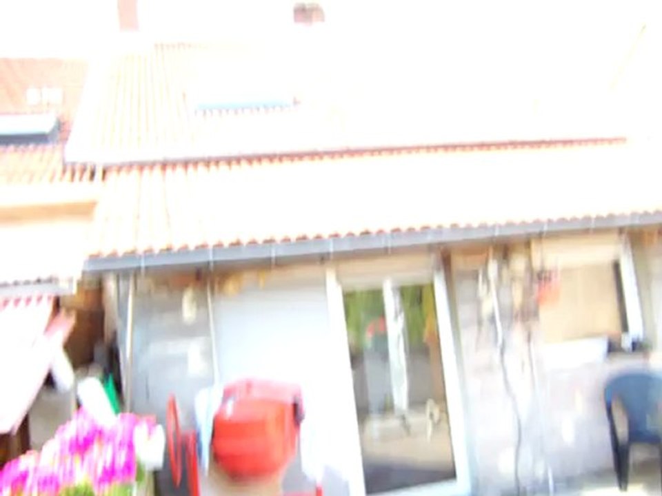 volée des pigeonneaux