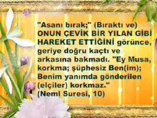 islamda evrim yoktur