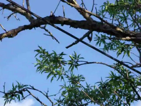 BruléParlesilluminés – Avions 1 – Relance des moteurs au-dessus – Mai 2012