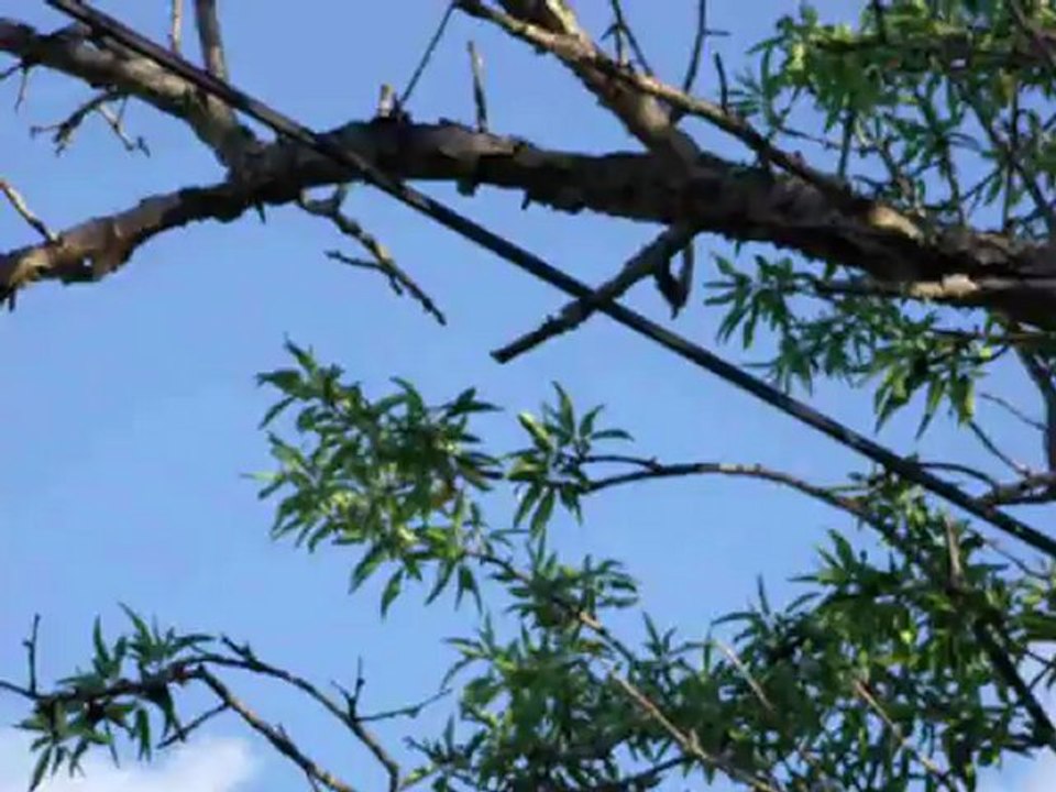 BruléParlesilluminés – Avions 1 – Relance des moteurs au-dessus – Mai 2012