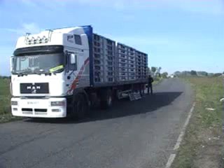 Kamyon dolusu kuşun özgürlük anı