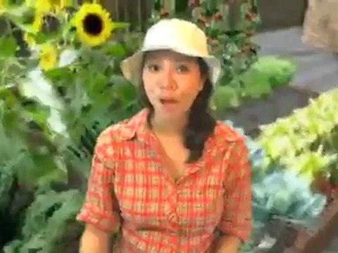 Scallop Shell Bird Bath, Antique Brass w/ a Verdi Finish Birdbath Review