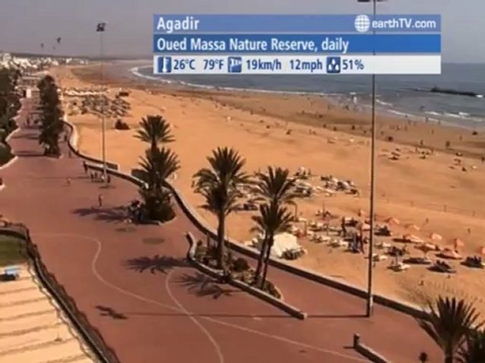 Agadir - Morocco, Tenerife - Spain, Ascona - Ticino - Switzerland, Cannes - France, Warsaw - Poland, Doha - Qatar, Berlin - Germany