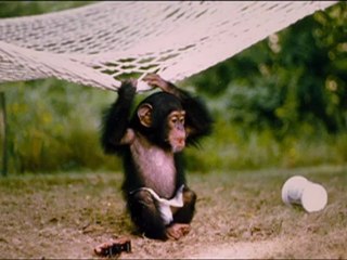 'Project Nim' Movie Clip: Meeting the Family