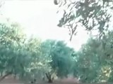 Syria فري برس ادلب   القصف بالطائرات المروحية على المزارع المجاورة للمدينة    14 6 2012 Idlib