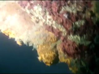 Globo Mar 14-06-2012 Parte 1 Belezas do litoral norte paulista