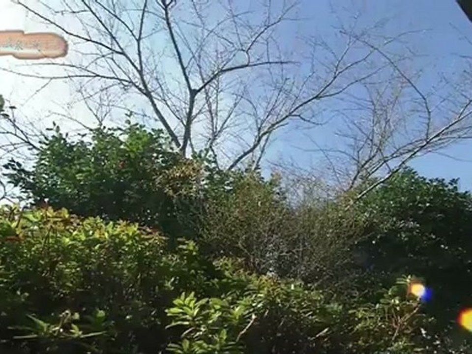 Sieu Mau Nhat Ban 2