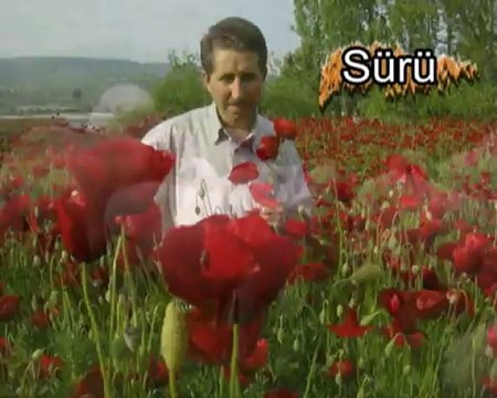 sürü-tvprogramı-jeneriği-türkiyemtv