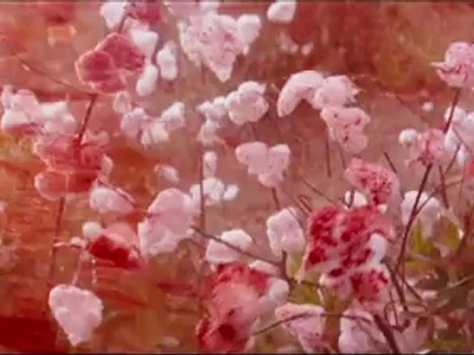 Django Unchained - Trailer